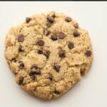 Chocolate Chip