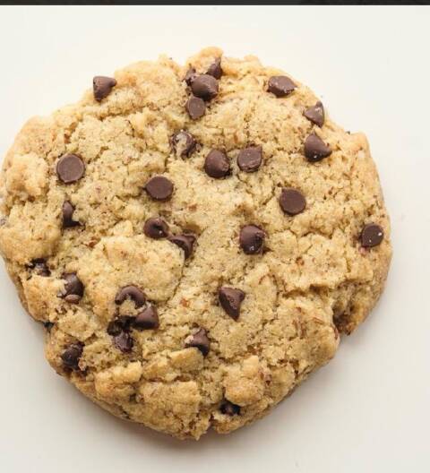 Chocolate Chip